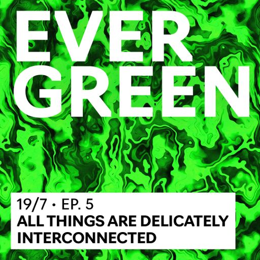 Evergreen #5 Special: The energy of the sounds from the Afro diaspora and Africa 19.07.2023