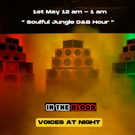 In The Blood Presents Soulful Jungle Drum & Bass -  01/05/24 - Voices Radio