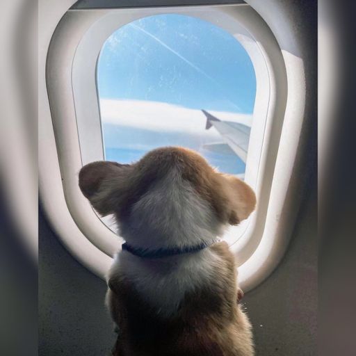 DJ'YE【Yakult Private Mix VVIP】《程響 - 等你歸來 X 是你大哥阿 - 孤獨 X 樹澤 - 後來的你在哪 X 鞠婧祎 - 歎雲兮》Mixtape 2x22