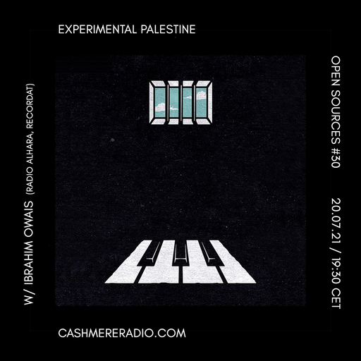 Open Sources #30: Experimental Palestine w/ Ibrahim Owais 20.07.2021
