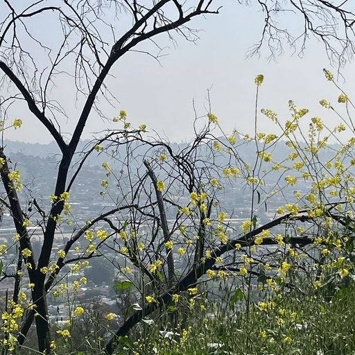 Luke Mele - 2nd July 2025