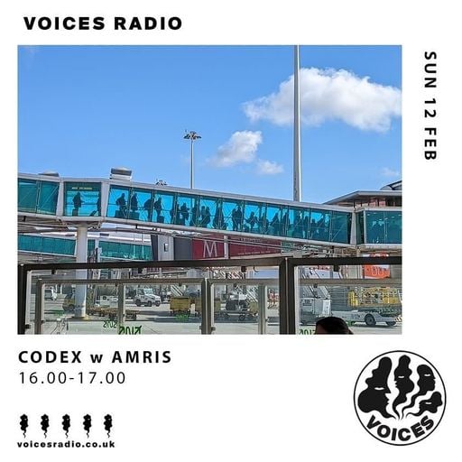 Codex w/ Amris - 12/02/23