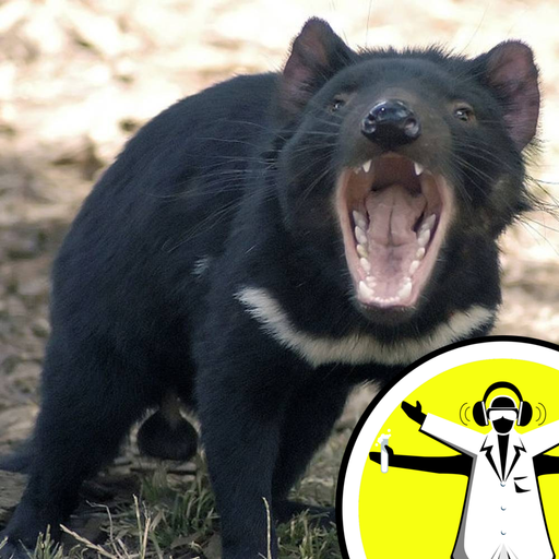 I'm a Tasmanian Devil, Get Me Out Of Here!