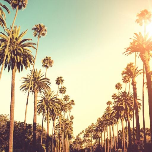 The Lost Mixes: L.A.