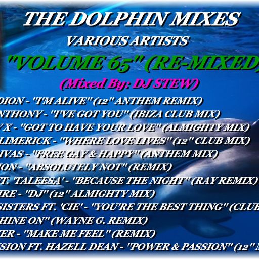 THE DOLPHIN MIXES - VARIOUS ARTISTS - ''VOLUME 65'' (RE-MIXED)