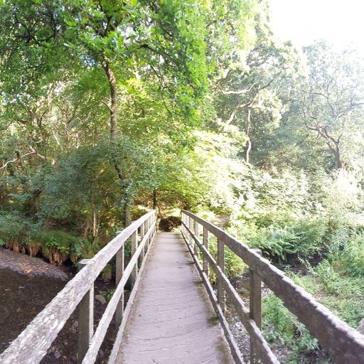 Saturday sessions (15/06/24)