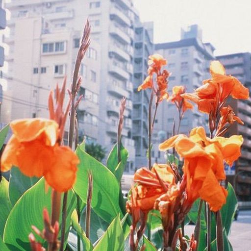 No Weapon Is Absolute w/ DJ SUNDAE - 29th April 2026