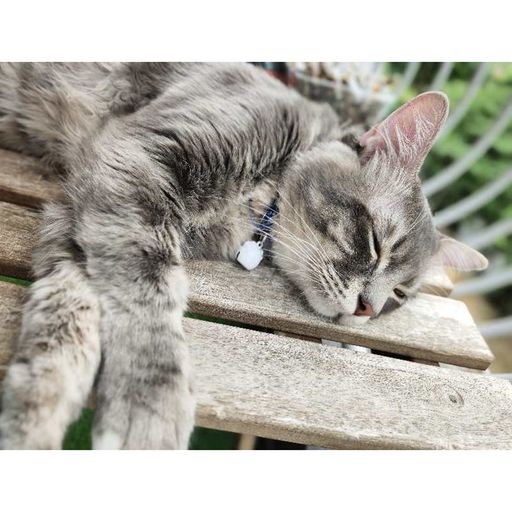 『書^專屬』【包吃包吃 FT 醬爆857 X 胡六六_-_後來遇見她 X 張葉蕾_-_還是分開 X 井朧_-_丟了你】RMX 2020 PR!VATE MANYA0 N0NST0P BY DJ'YE