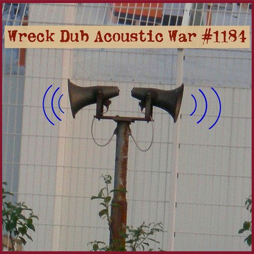 Wreck Dub Acoustic War 1184