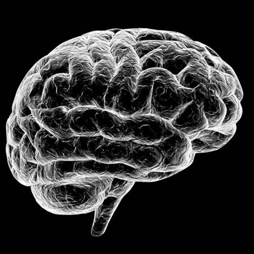 ScreenBrum (6/10/2017) - The Brain
