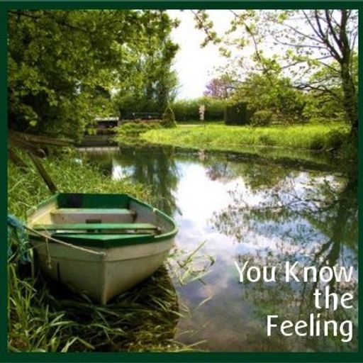 You Know the Feeling - Alternative Lounge & Chillbient