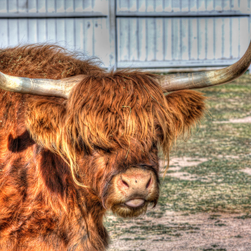 The King's Speech 171025