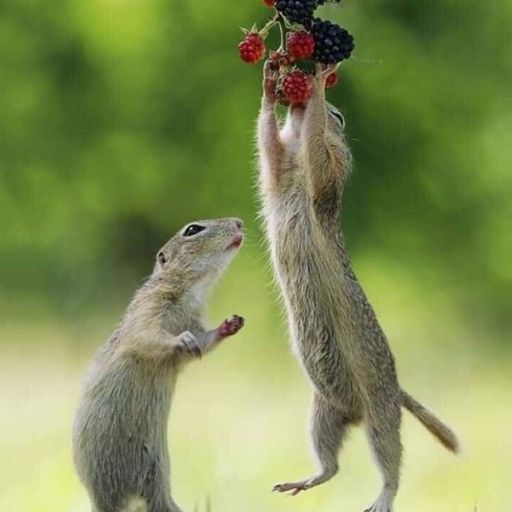 Steve Lewis Wednesday House session 28th August 2024