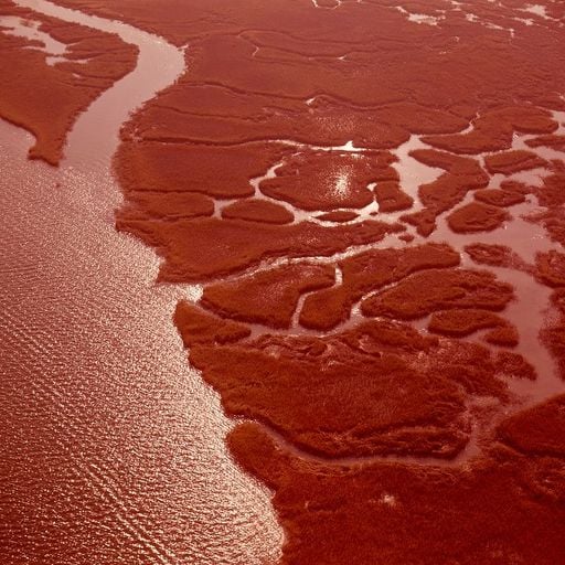 NTS Guide to: Drum Machine Country & Swamp Rock - 21st April 2026