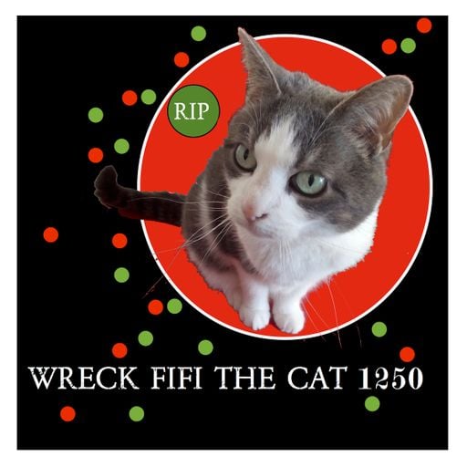 Wreck Fifi The Cat 1250