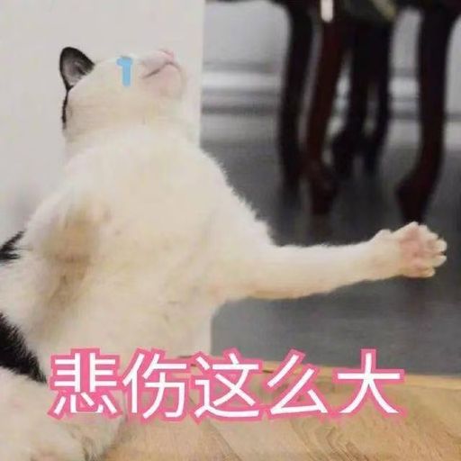 DJ‘KC｛伤感我不再说多了｝好朋友的祝福●跳楼机●过了今天●能遇见就不错了●MANYAO MIX 2K25