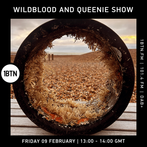 Wildblood & Queenie Show - 09.02.24