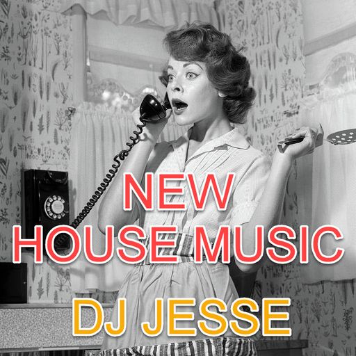 2025-07-04 House Breaks EDM Garage Acid Electronic Dance Mix