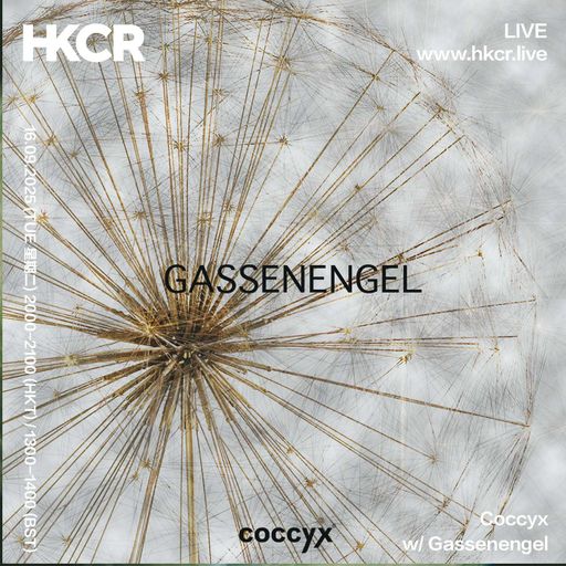 Coccyx w/ Gassenengel - 16/09/2025