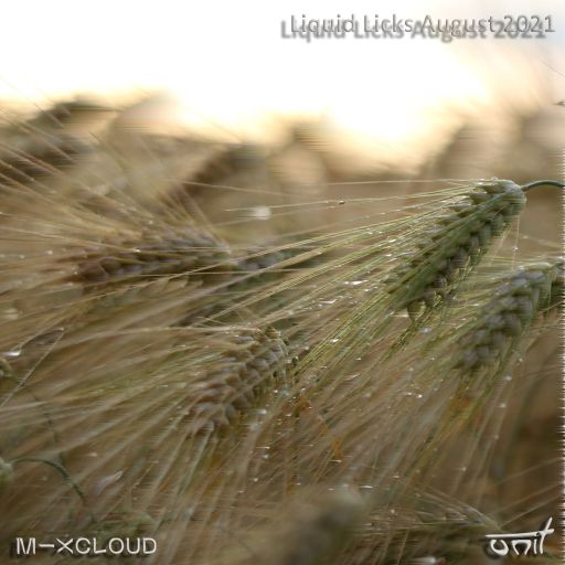 Liquid Licks - August 2021
