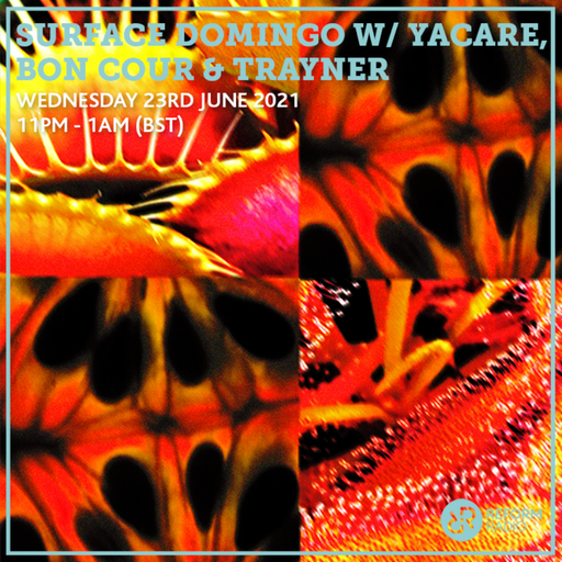 Surface Domingo w/ Yacare, Bon Cour & Trayner 23rd June 2021