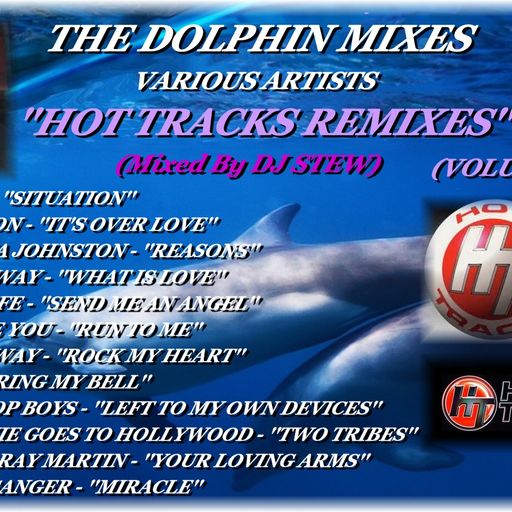 THE DOLPHIN MIXES - VARIOUS ARTISTS - ''HOT TRACKS REMIXES'' (VOLUME 30)
