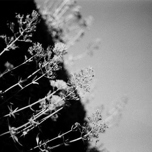 Near Momentary: Hinako Omori and Kloxii // 24-06-21