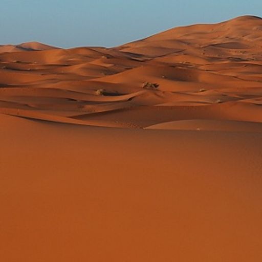 Voyage au Sud (EthnicAmbientTrip)