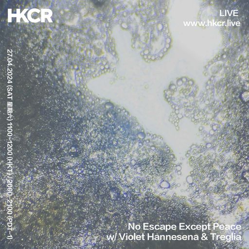 No Escape Except Peace w/ Violet Hannesena - 27/04/2024