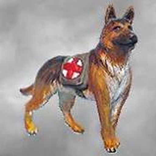 A Bit of Everything with German Shepherd Records & Emily Oldfield. 19/12/2017