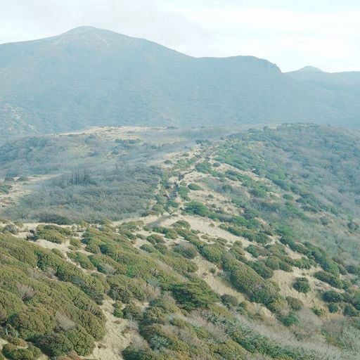 Perceptual Calibration w/ TOSH - 6th April 2026