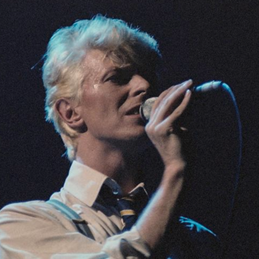Bowie Live at Birmingham International Arena, Birmingham 5 June 1983, Serious Moonlight Tour