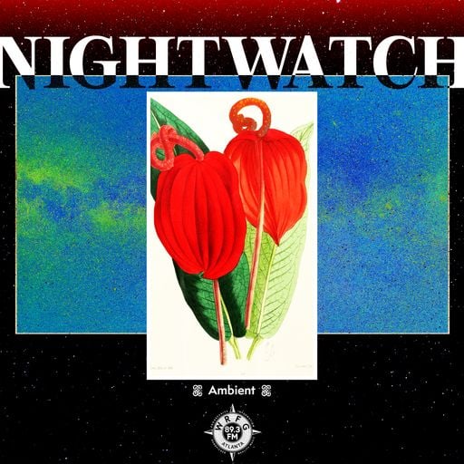 Night Watch: Ambient with Elijah - 30 April 2026