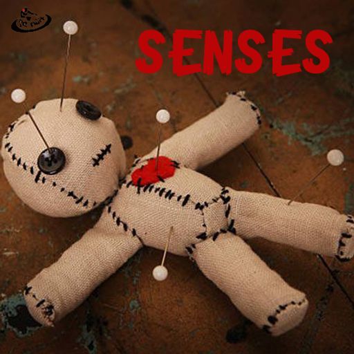 Senses