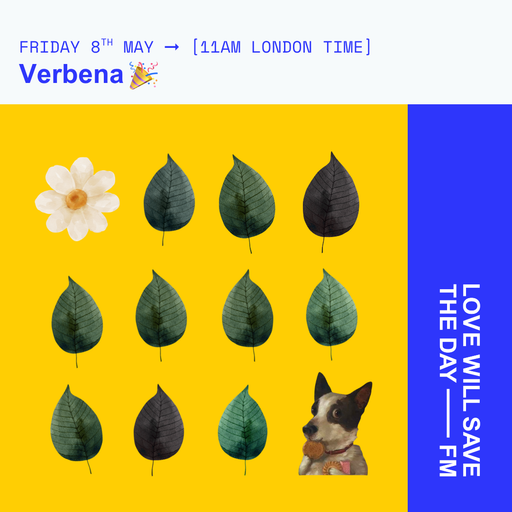 2026-05-08 Verbena | LWSTD-FM
