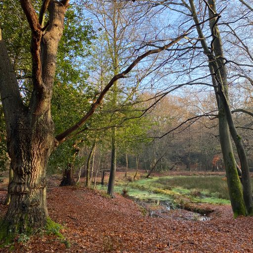 Hoxton Live 08-12-23