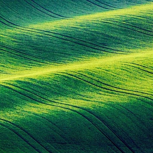 Quietmusic - Complete Three-Hour Program - Jan 25