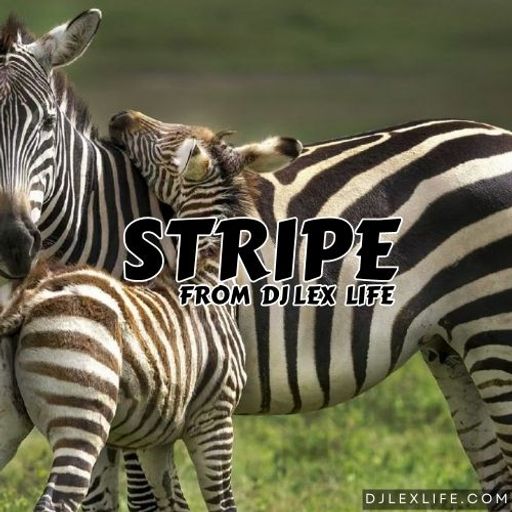 STRIPE 01.16.24