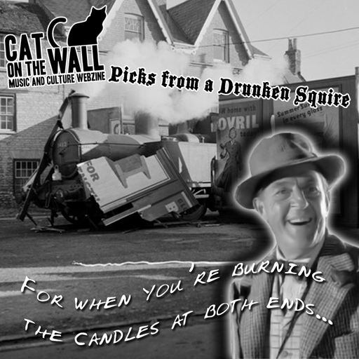 Picks from a Drunken Squire (For When You're Burning The Candle At Both Ends)