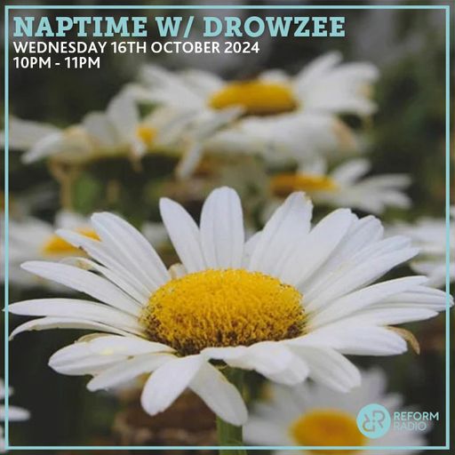Naptime w/ drowzee 16th October 2024