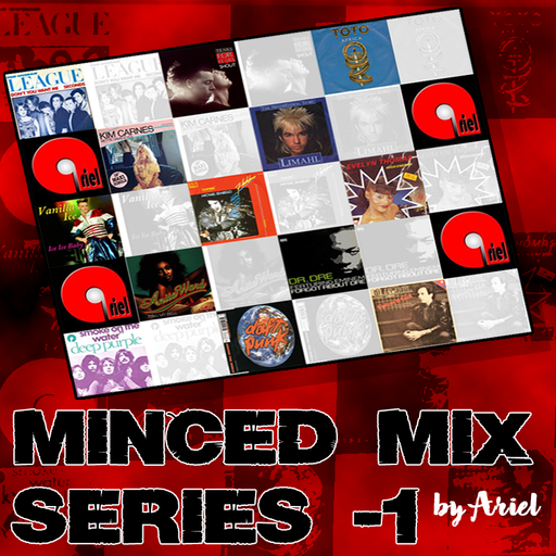 AYEE MINCED MIX SERIES - 1