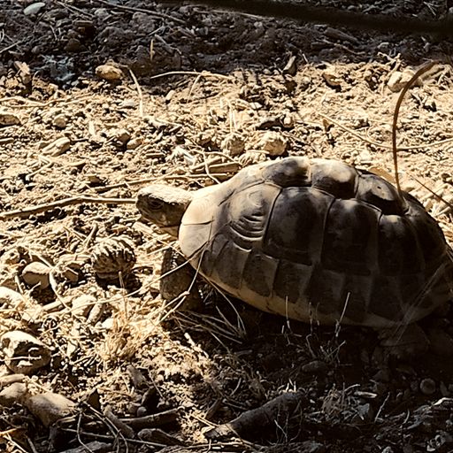 Keri's Kitchen 674FM 18.10.2021 : TIME AND (NO) PLANS