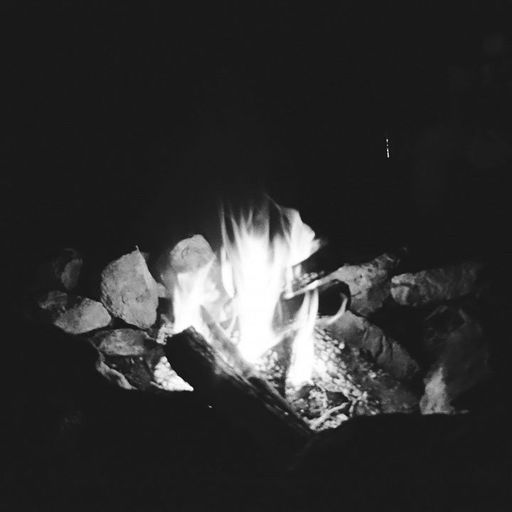 THE LEAVES HAVE GONE W/ ERIC S - 2nd January 2026