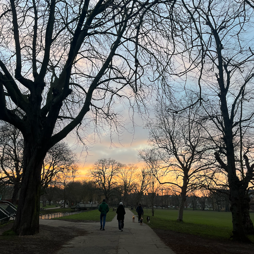 Sunny D//The Rise Sessions 16/02/2023