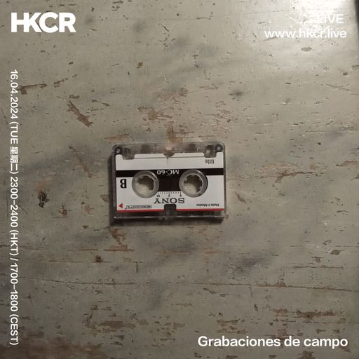 Grabaciones de campo - 16/04/2024