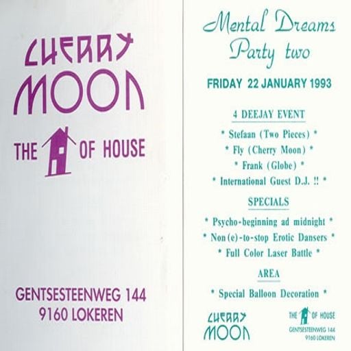 Dave Clarke at "Mental Dreams Party 2" @ Cherry Moon (Lokeren - Belgium) - 22 January 1993