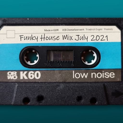Funky and Jackin House Mix July 2021 by DiscoInjection