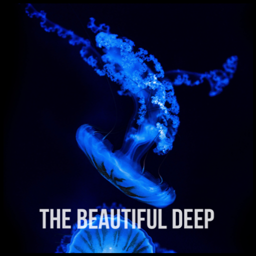 The Beautiful Deep w/ Andrew Medlock - 24.06.23