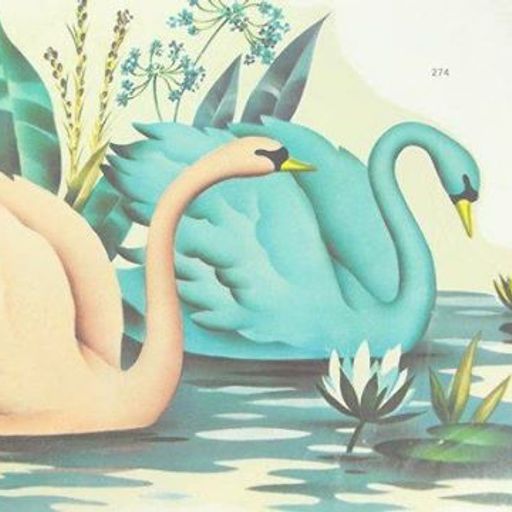 Amiria Grenell Interview