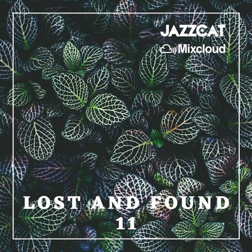 Lost and found 11